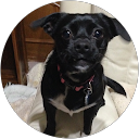 Judy Katz profile picture